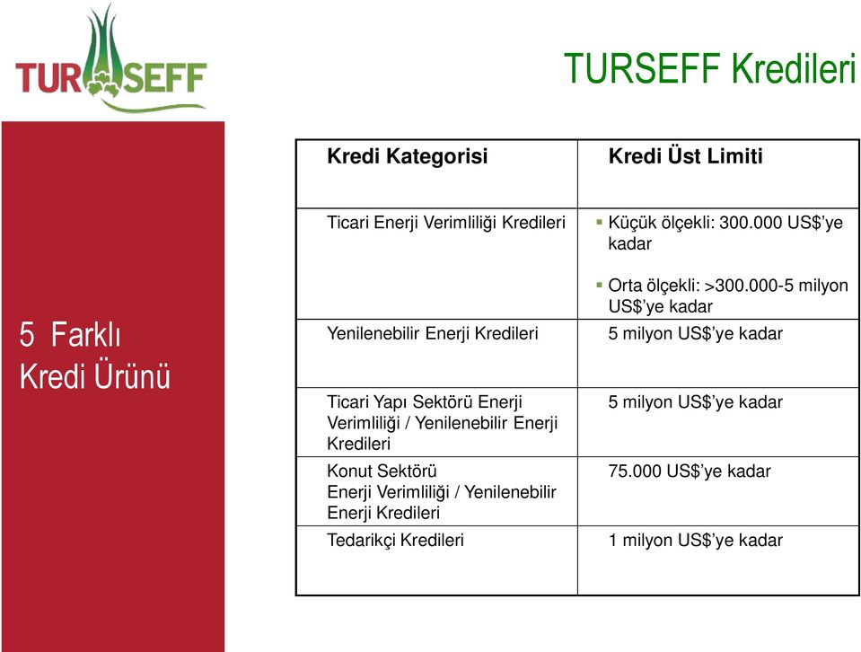 Enerji Verimlili i / Yenilenebilir Enerji Kredileri Tedarikçi Kredileri Küçük ölçekli: 300.