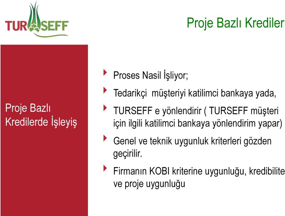 ilgili katilimci bankaya yönlendirim yapar) Genel ve teknik uygunluk kriterleri