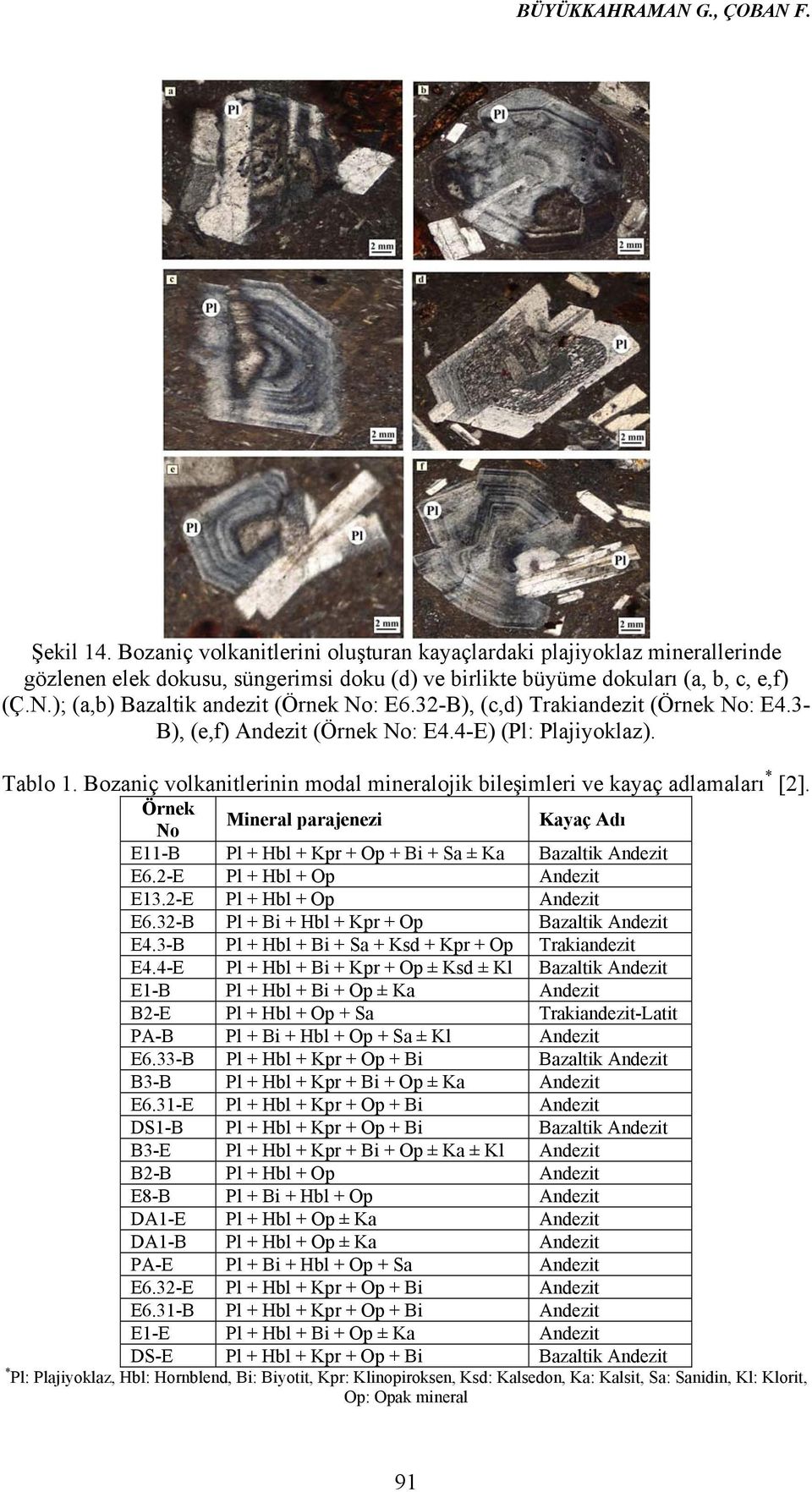 Örnek No Mineral parajenezi Kayaç Adı E11-B Pl + Hbl + Kpr + Op + Bi + Sa ± Ka Bazaltik Andezit E6.2-E Pl + Hbl + Op Andezit E13.2-E Pl + Hbl + Op Andezit E6.