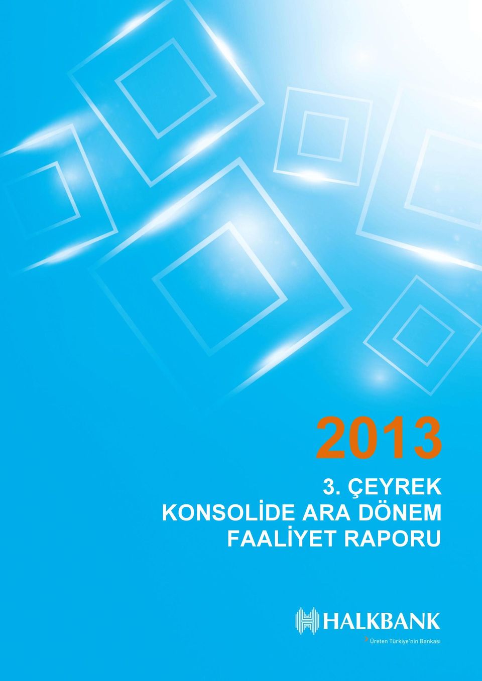 Faaliyet Raporu 2013 3.