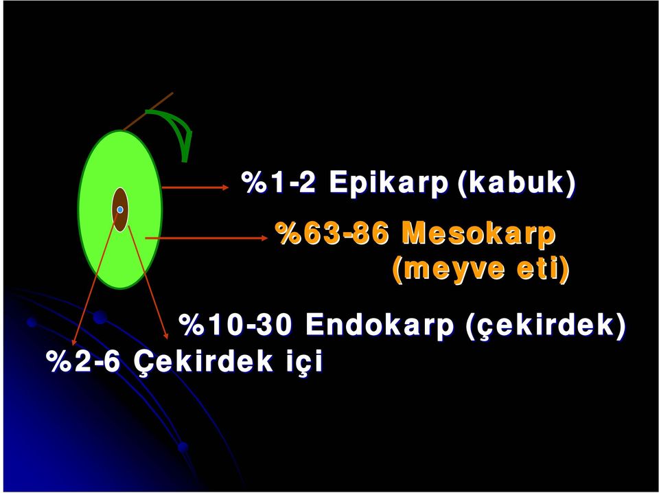 eti) %10-30 Endokarp