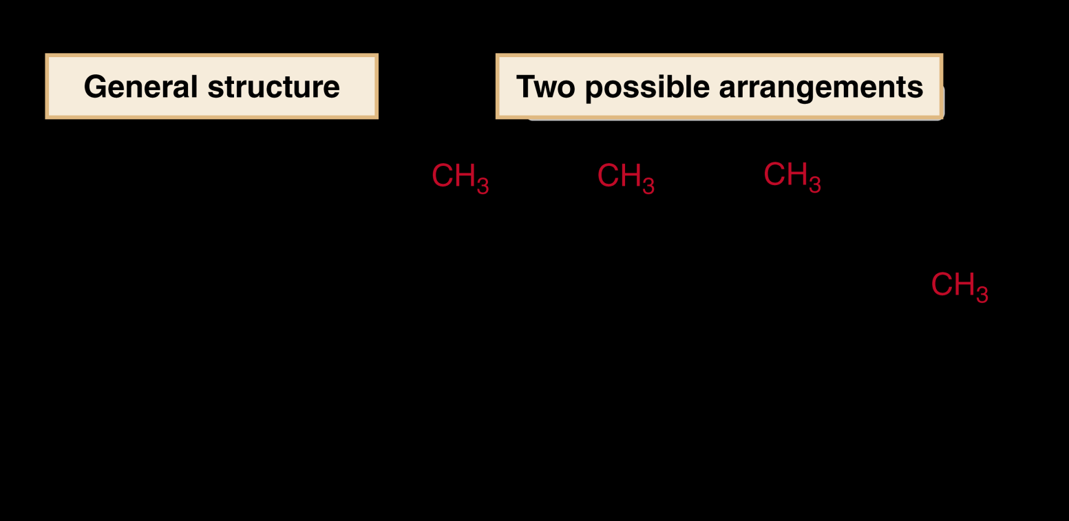 İki CH 3 grubu çifte bağın aynı tarafında olduğunda, bileşik cis-izomer olarak adlandırılır.