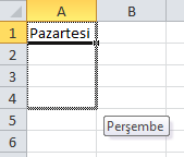 Otomatik Doldurma Excel de veri girişi, hücreyi seçip bir değer girilerek gerçekleştirilir.