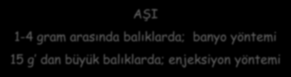 Etken bir kere yerleştikten sonra tanktan elimine edilmesi oldukça güç Bilinen en kalıcı, persistent infeksiyöz etkenlerden biri Tüm tankın