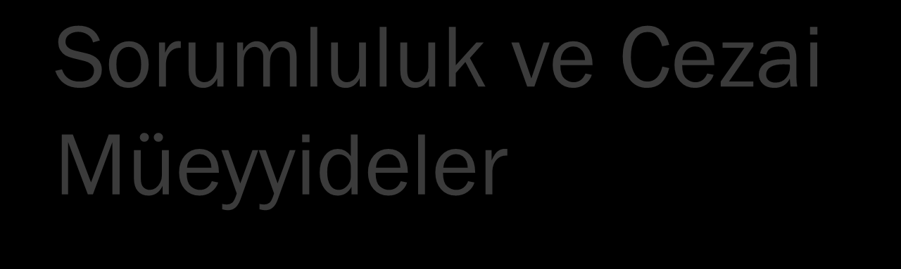 Sorumluluk ve Cezai Müeyyideler e-arşiv Uygulamasını kendi bilgi işlem sistemlerinden kullananlardan izinlerinin iptal edildiği kendisine bildirilen mükellefler, bildirimin yapıldığı tarihten