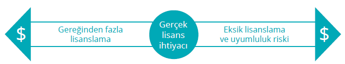 Yazılım Varlık ve Lisans Yönetimi Gerçek Lisans İhtiyacı