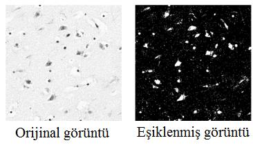 genişleme Etkileri: Küçük