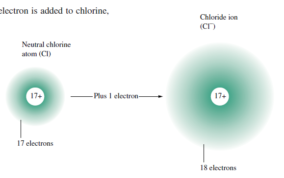 Biraraya gelen atomlar aynı elemente ait ise element molekülü, farklı elementlere ait ise bileşik molekülü oluşur.