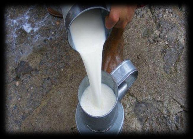Türkiye süt endüstrisinin ihracat önündeki engellerden biri kalktı. Avrupa Komisyonu'nun onayıyla 3 Nisan 2013 tarihinden itibaren 6 firma ürünlerini artık AB ülkelerine ihraç edebilecek.
