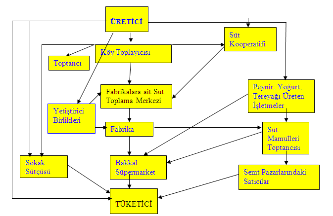 Türkiye de süt ve süt