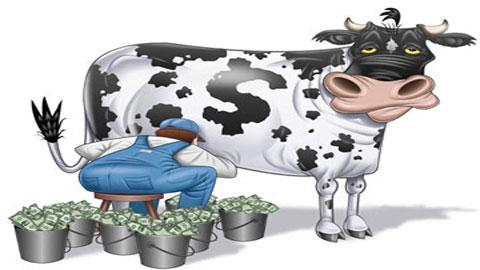 Birleşmiş Milletler Gıda ve Tarım Örgütü nün (FAO) 2010 rakamlarına göre; dünya tarımında üretim değeri en yüksek olan ürünün inek sütü olduğu