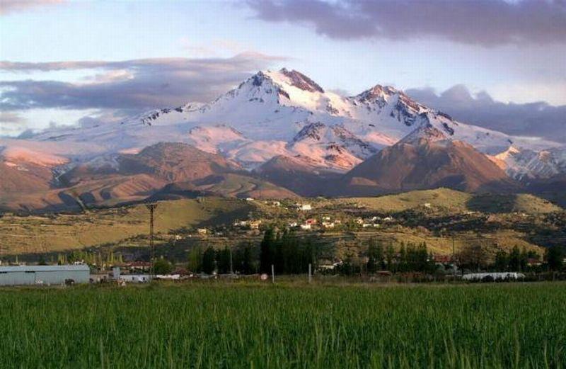 Kışları soğuk ve kar yağışlı, yazları sıcak ve kurak, karasal özelliklerin baskın olduğu bir iklim sahasıdır. İran-Turan flora bölgesi Türkiye de üç alt bölümde incelenir: 1.İç Anadolu flora alanı 2.