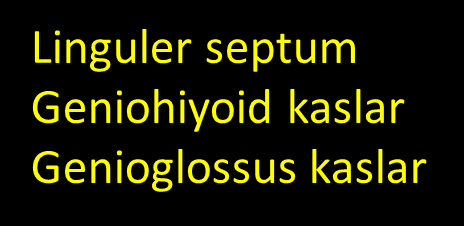 Hedlund GL, Hunt JP, Harnsberger R.