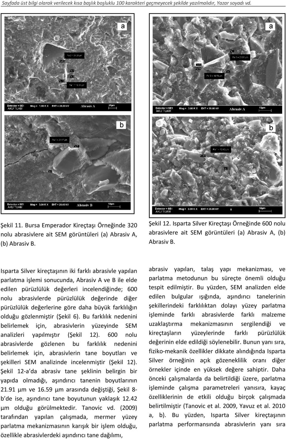 Isparta Silver Kireçtaşı Örneğinde 600 nolu abrasivlere ait SEM görüntüleri (a) Abrasiv A, (b) Abrasiv B.