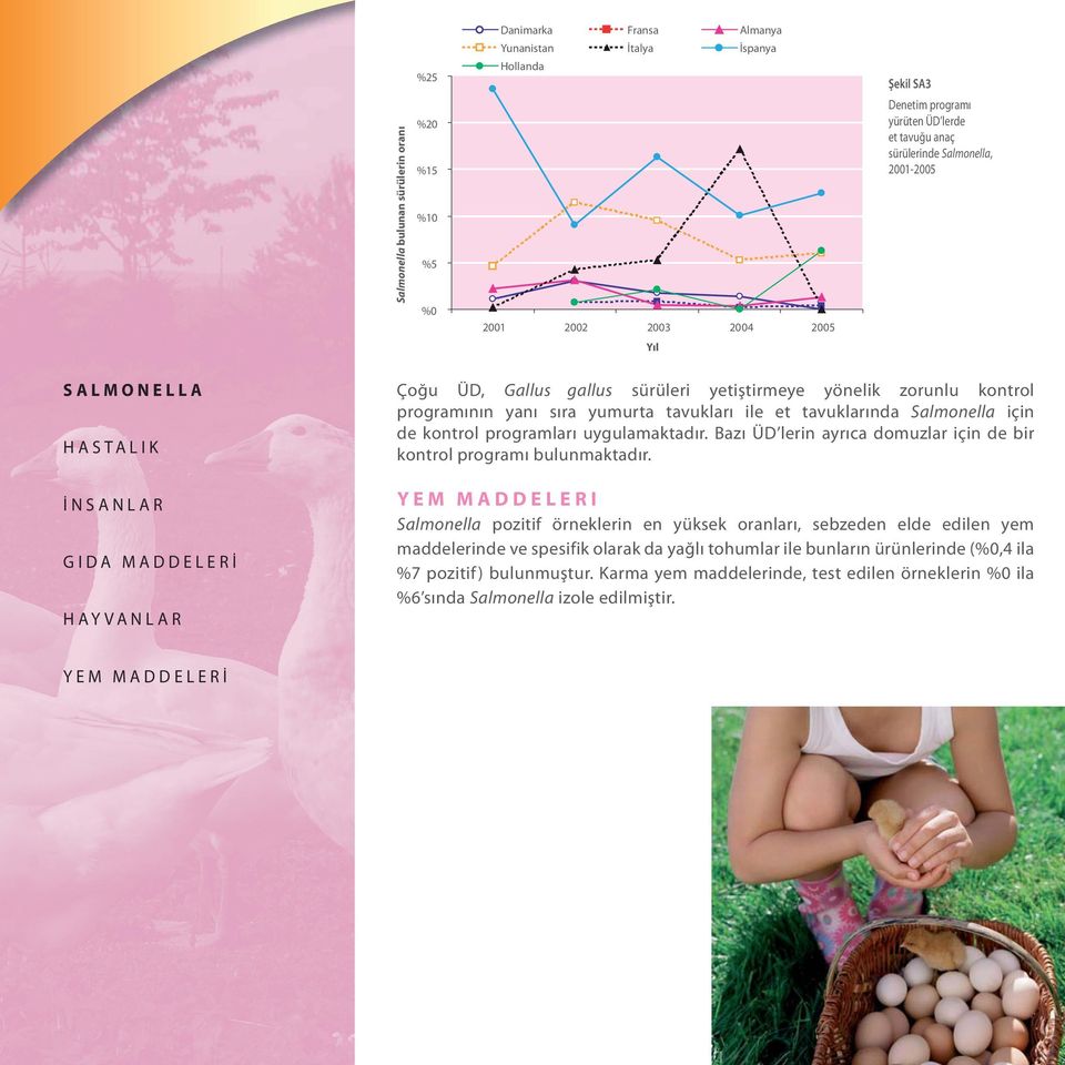 Salmonella için de kontrol programları uygulamaktadır. Bazı ÜD lerin ayrıca domuzlar için de bir kontrol programı bulunmaktadır.