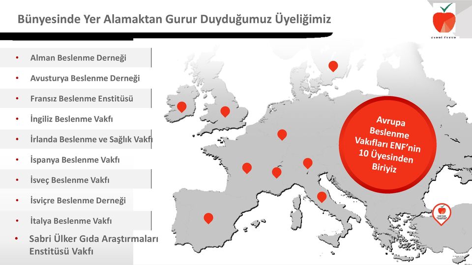 İrlanda Beslenme ve Sağlık Vakfı İspanya Beslenme Vakfı İsveç Beslenme Vakfı