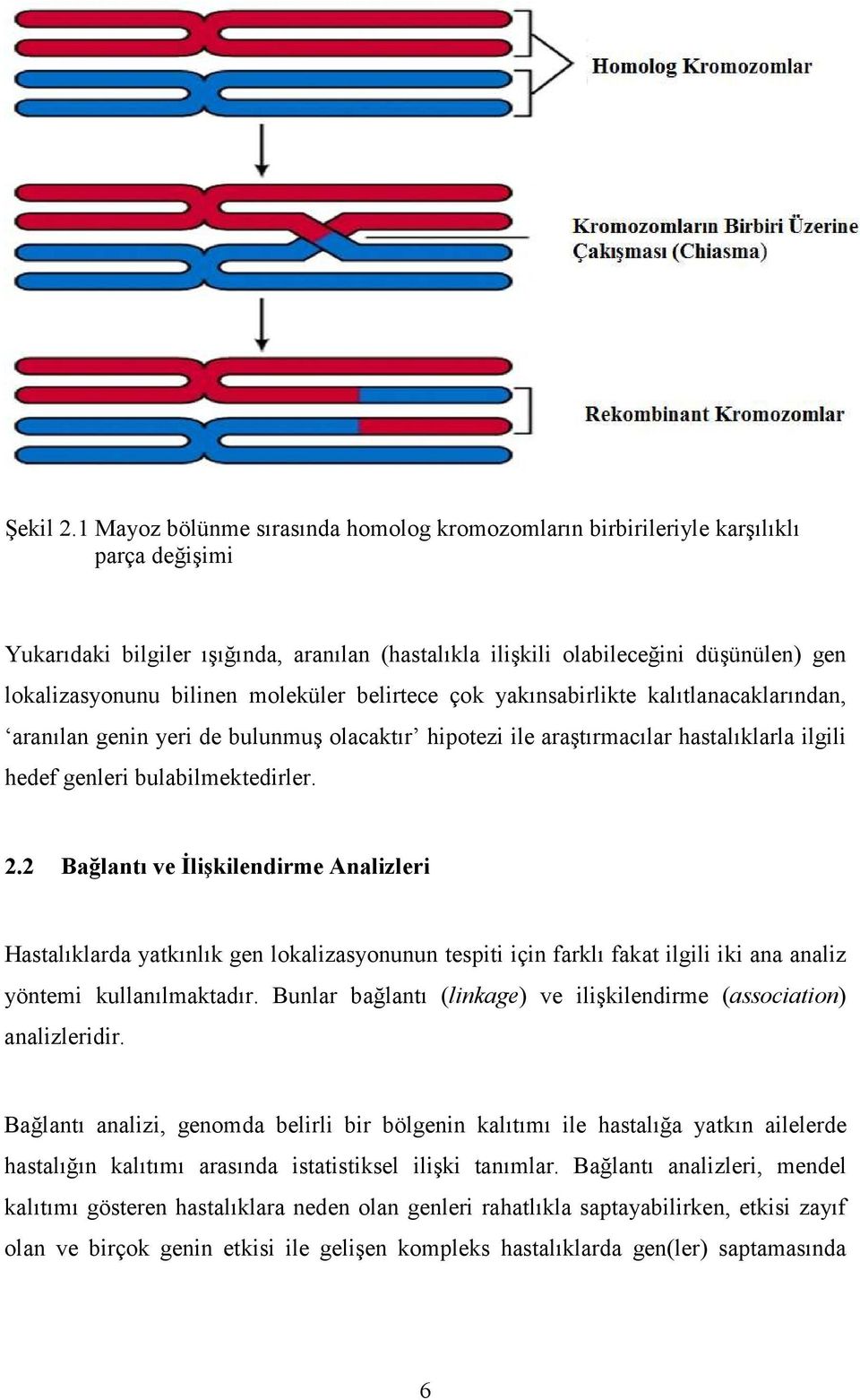 bilinen moleküler belirtece çok yakınsabirlikte kalıtlanacaklarından, aranılan genin yeri de bulunmuş olacaktır hipotezi ile araştırmacılar hastalıklarla ilgili hedef genleri bulabilmektedirler. 2.