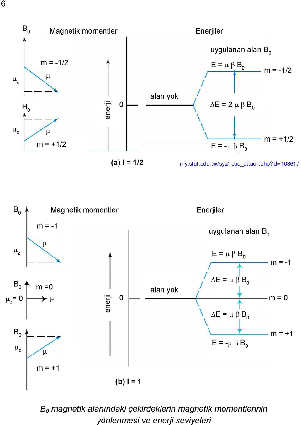 id=103617 Magnetik momentler Enerjiler z z = 0 z m = -1 z H 0 z m =0 z = 0 z = 0 H z 0 m = +1 z m = -1 m = 0 m = +1 enerji 0 enerji (b) l = 1 alan yok