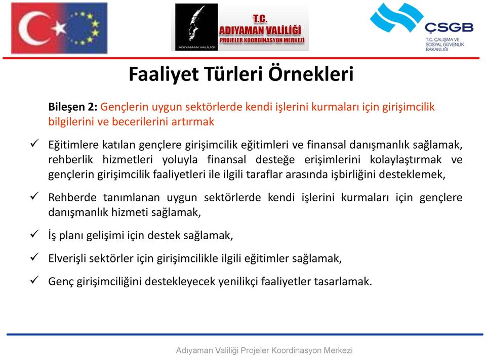 faaliyetleri ile ilgili taraflar arasında işbirliğini desteklemek, Rehberde tanımlanan uygun sektörlerde kendi işlerini kurmaları için gençlere danışmanlık hizmeti