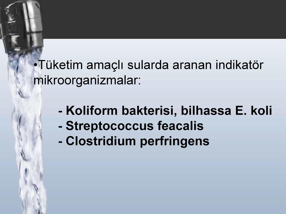 Koliform bakterisi, bilhassa E.