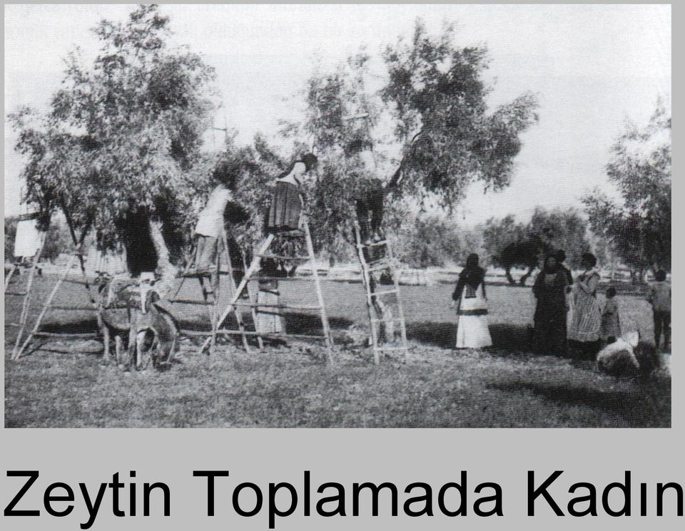 Kadın