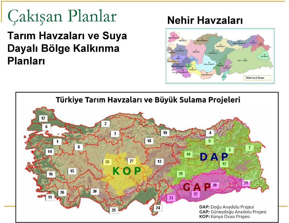 Dayalı Bölge Kalkınma