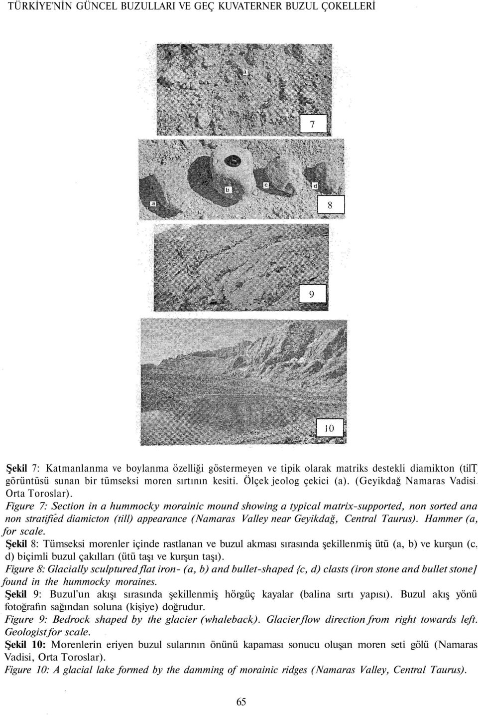 Figure 7: Section in a hummocky morainic mound showing a typical matrix-supported, non sorted ana non stratified diamicton (till) appearance (Namaras Valley near Geyikdağ, Central Taurus).