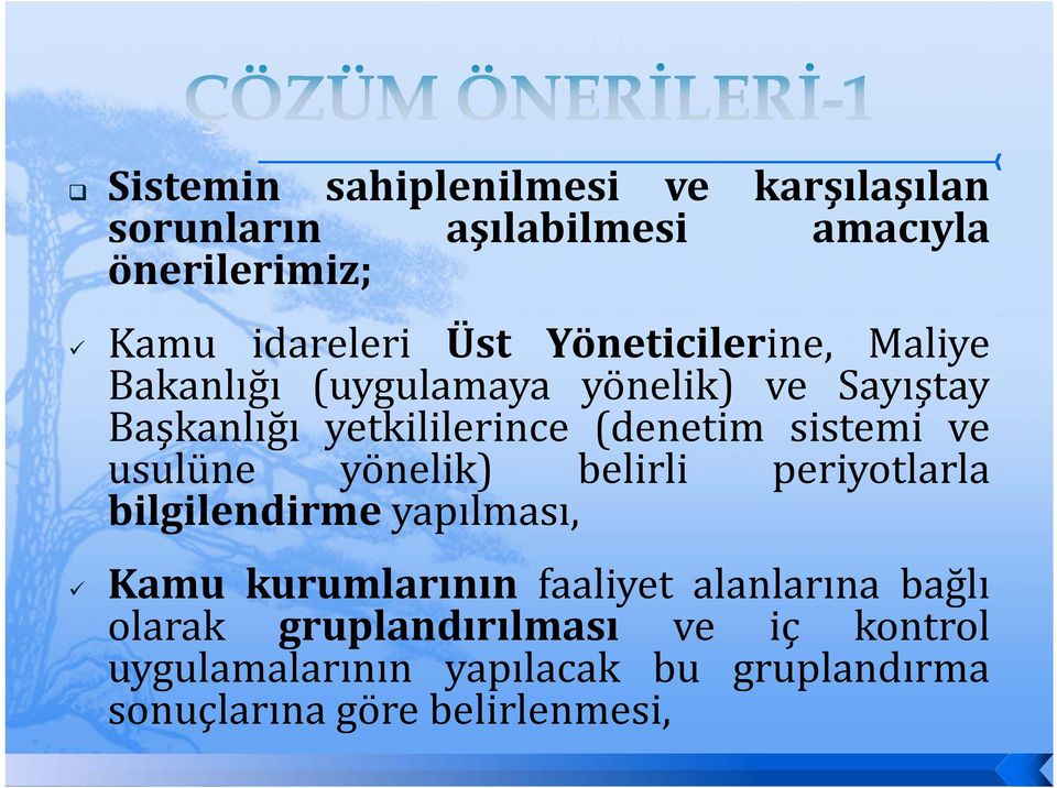 ve usulüne yönelik) belirli periyotlarla bilgilendirme yapılması, Kamu kurumlarının faaliyet alanlarına