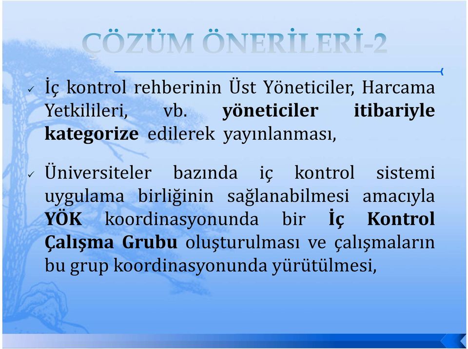 iç kontrol sistemi uygulama birliğinin sağlanabilmesi amacıyla YÖK