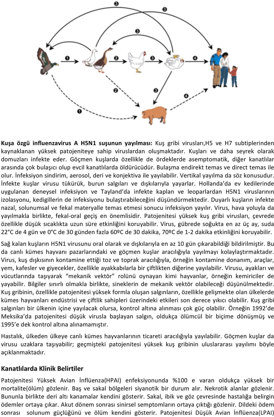 Bulaşma endirekt temas ve direct temas ile olur. İnfeksiyon sindirim, aerosol, deri ve konjektiva ile yayılabilir. Vertikal yayılma da söz konusudur.