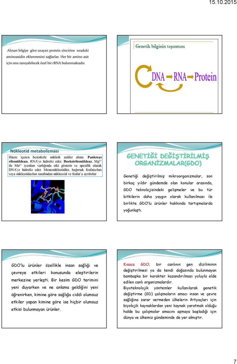 Deoksiribonükleaz, Mg 2+ ile Mn 2+ iyonları varlığında etki gösterir ve spesifik olarak DNA yı hidroliz eder.