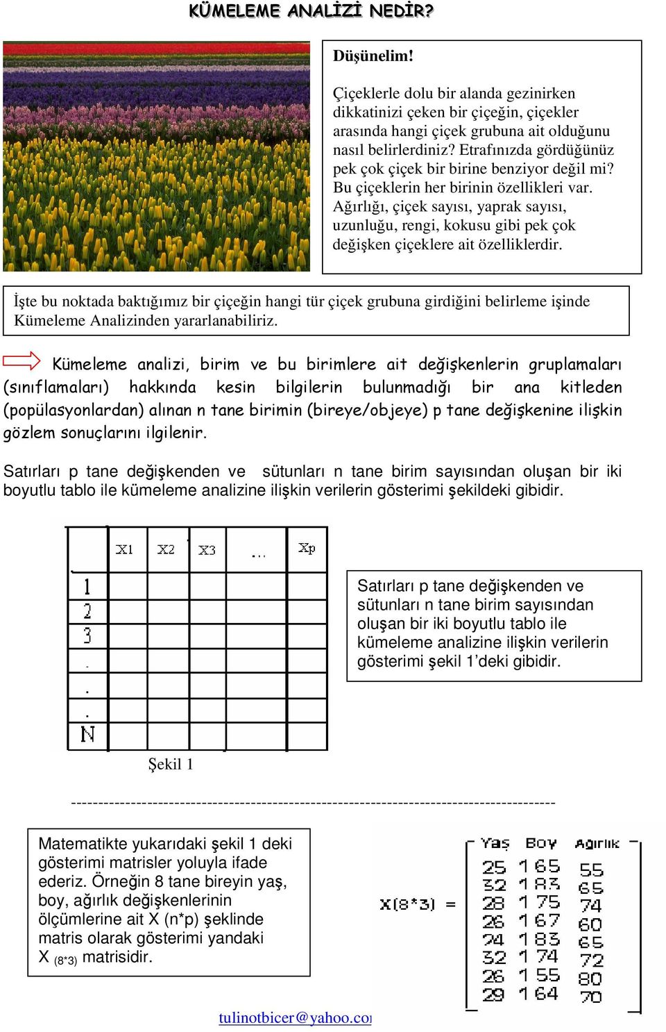 Aırlıı, çiçek sayısı, yaprak sayısı, uzunluu, rengi, kokusu gibi pek çok deiken çiçeklere ait özelliklerdir.