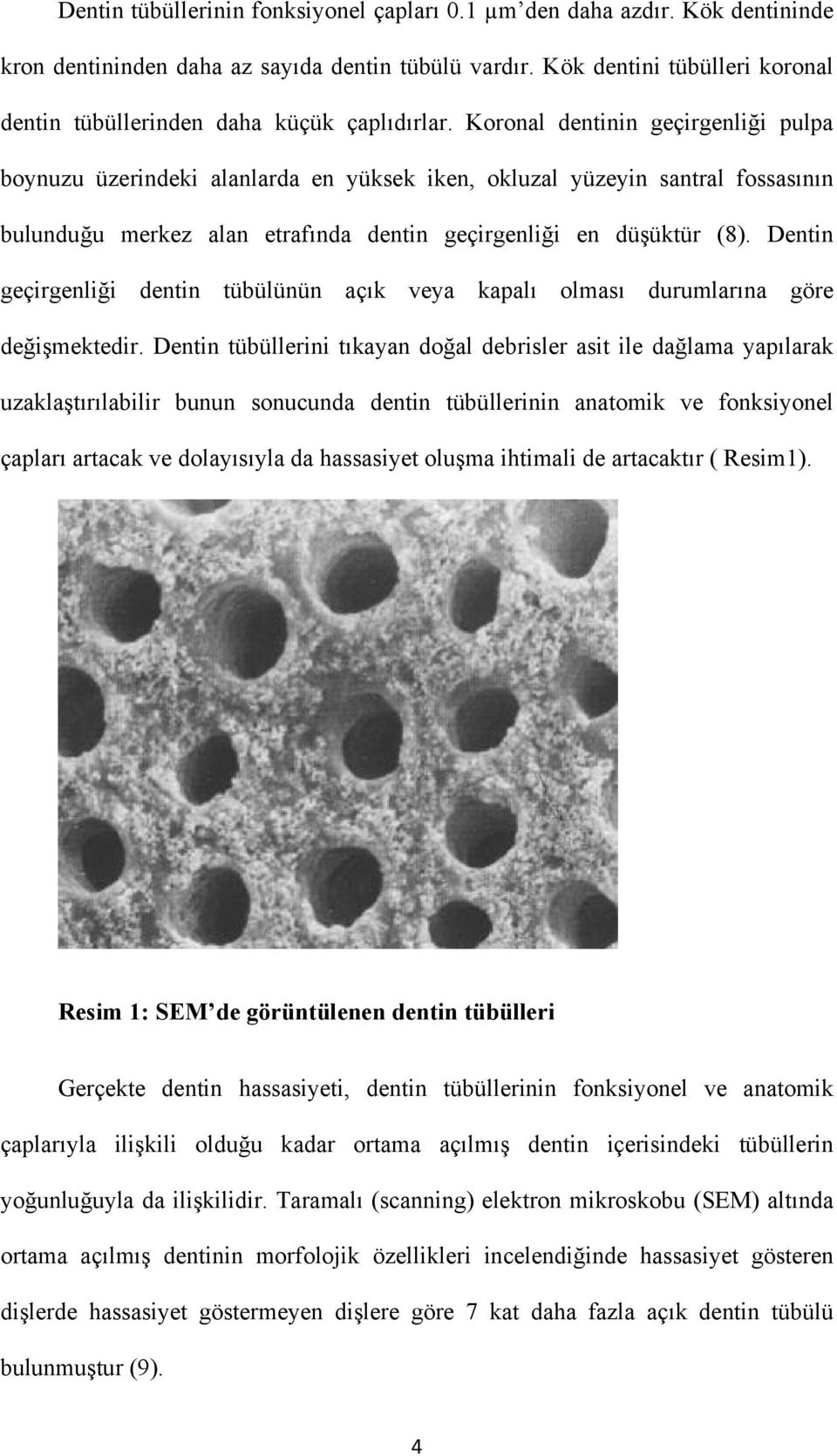 Koronal dentinin geçirgenliği pulpa boynuzu üzerindeki alanlarda en yüksek iken, okluzal yüzeyin santral fossasının bulunduğu merkez alan etrafında dentin geçirgenliği en düşüktür (8).