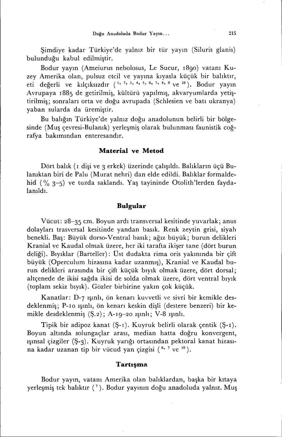 Bodur yayın Avrupaya 1885 de getirilmi~, kültürü yapılmı~, akvaryumlarda yetiştirilmi~; sonraları orta ve doğu avrupada (Sehlesien ve batı ukranya) yaban sularda da üremi~tir.