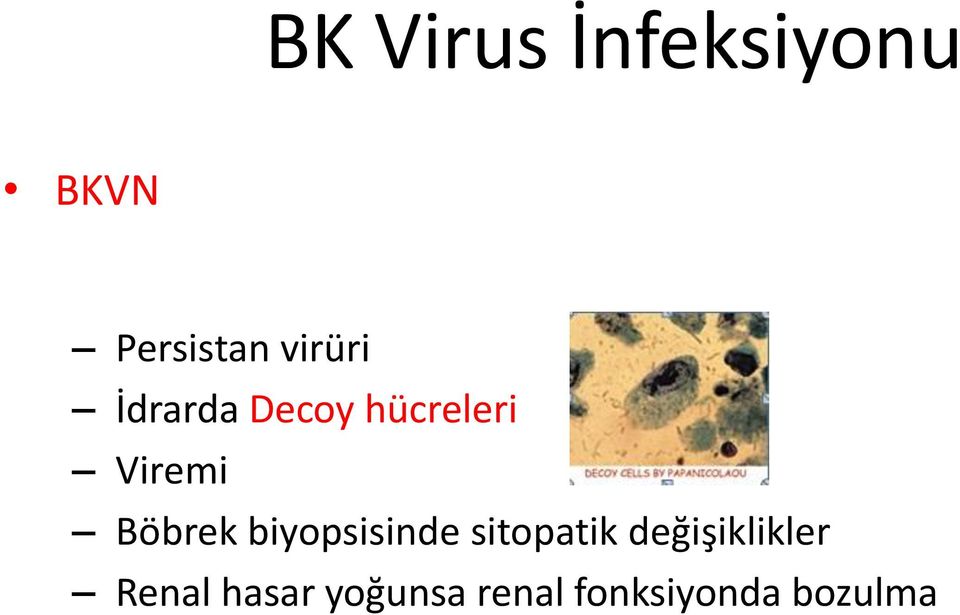 Böbrek biyopsisinde sitopatik