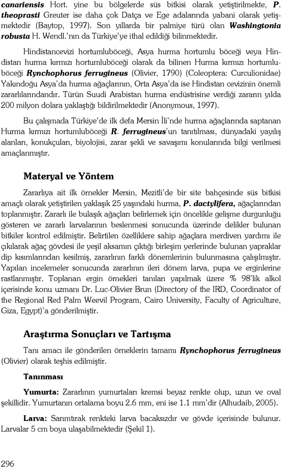 Hindistancevizi hortumluböceği, Asya hurma hortumlu böceği veya Hindistan hurma kırmızı hortumluböceği olarak da bilinen Hurma kırmızı hortumluböceği Rynchophorus ferrugineus (Olivier, 1790)