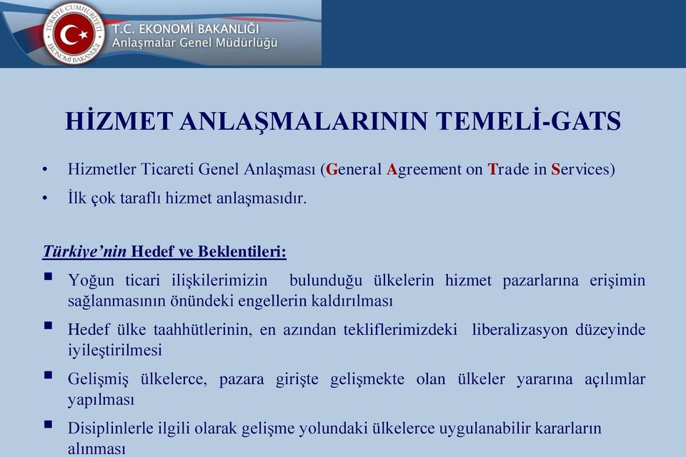 Türkiye nin Hedef ve Beklentileri: Yoğun ticari ilişkilerimizin bulunduğu ülkelerin hizmet pazarlarına erişimin sağlanmasının önündeki