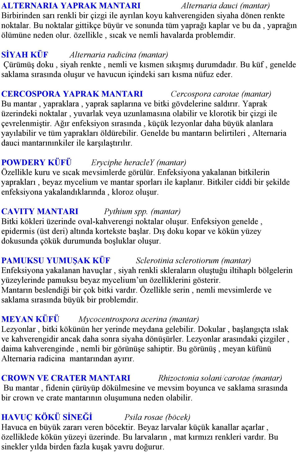 SİYAH KÜF Alternaria radicina (mantar) Çürümüş doku, siyah renkte, nemli ve kısmen sıkışmış durumdadır. Bu küf, genelde saklama sırasında oluşur ve havucun içindeki sarı kısma nüfuz eder.