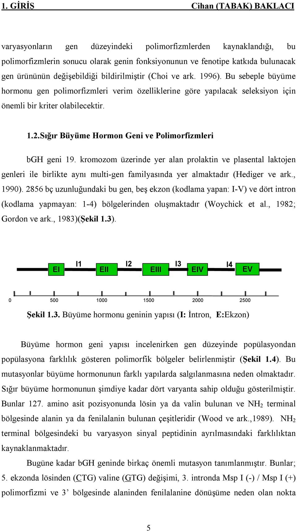 Sığır Büyüme Hormon Geni ve Polimorfizmleri bgh geni 19. kromozom üzerinde yer alan prolaktin ve plasental laktojen genleri ile birlikte aynı multi-gen familyasında yer almaktadır (Hediger ve ark.