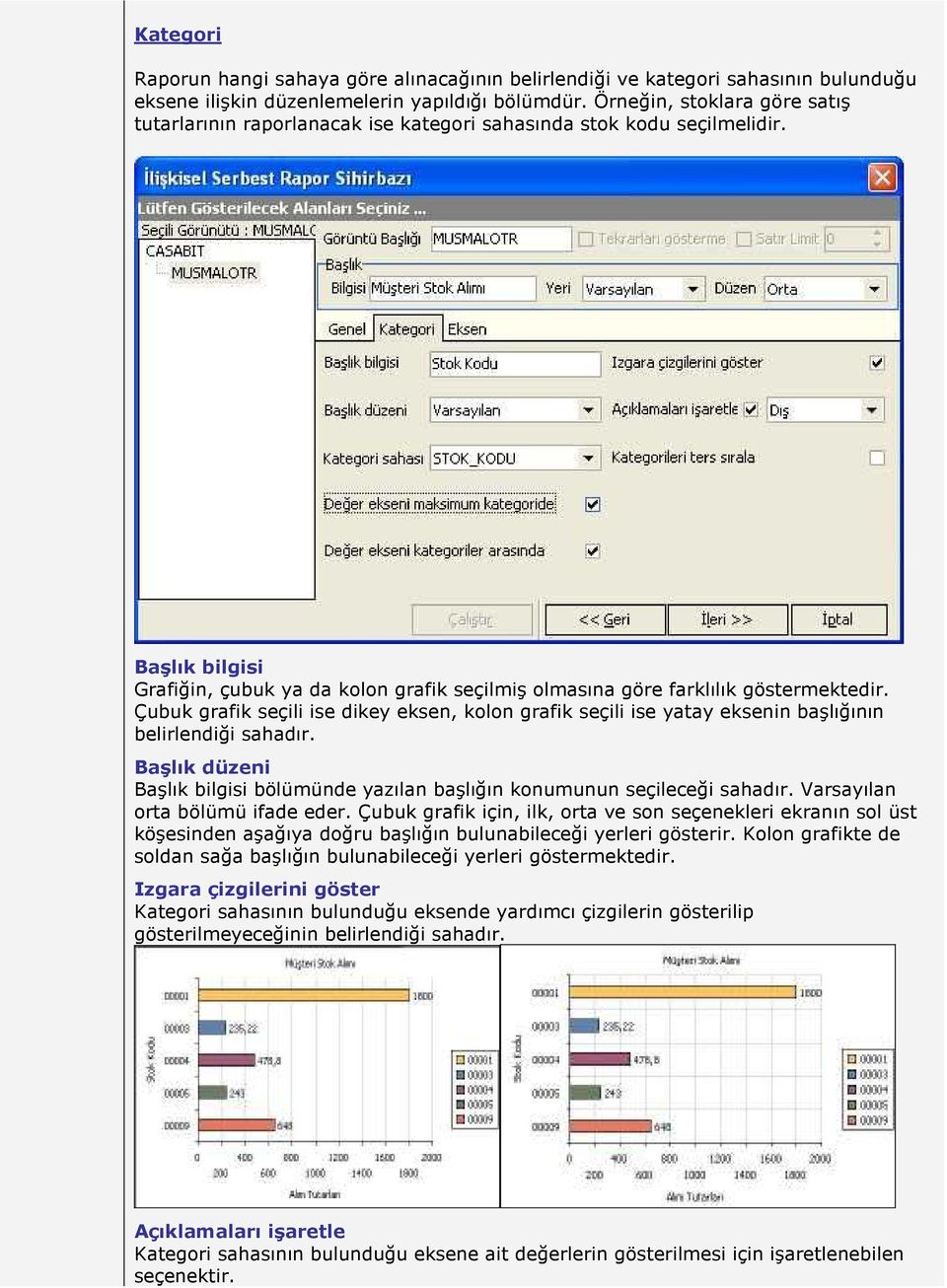 Çubuk grafik seçili ise dikey eksen, kolon grafik seçili ise yatay eksenin başlığının belirlendiği sahadır. Başlık düzeni Başlık bilgisi bölümünde yazılan başlığın konumunun seçileceği sahadır.