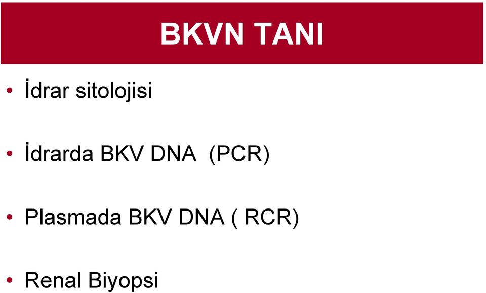 BKV DNA (PCR)