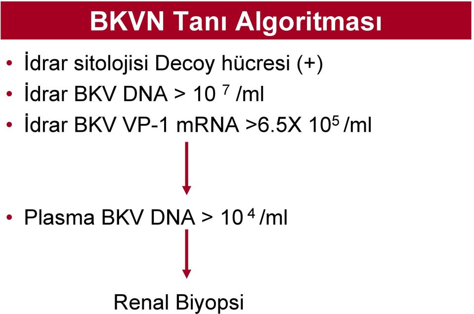 /ml İdrar BKV VP-1 mrna >6.