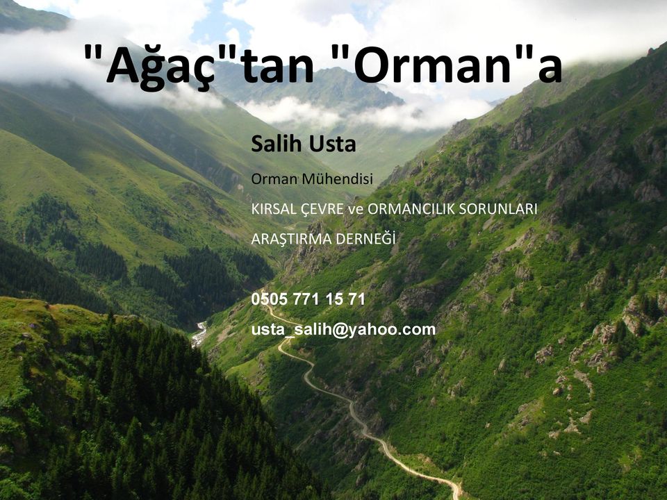 ORMANCILIK SORUNLARI ARAŞTIRMA