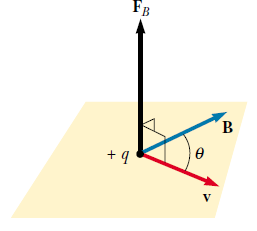 2. F B manyetik kuvvetinin büyüklüğü ve yönü, parçacığın hızına (v) ve B manyetik alanın büyüklüğü ve yönüne bağlıdır. 3.