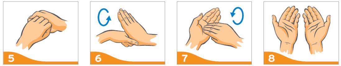 ovuşturun Parmaklarınızı birbirine kenetleyin ve yana hareketlerle ovuşturarak yıkayın Başparmağınızı diğer elinizle kavrayın ve döndürün Parmaklarınızı diğer elin avuç içine bastırın ve döndürün