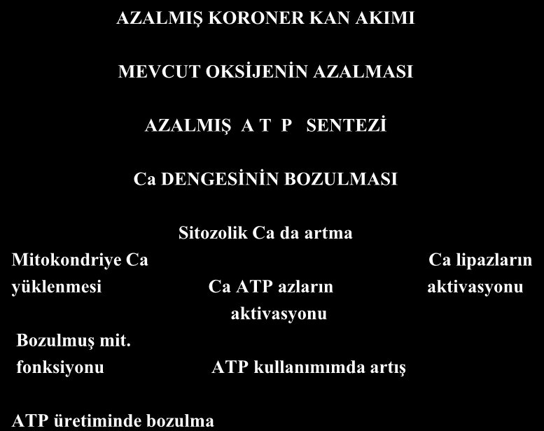 AZALMIŞ KORONER KAN AKIMI MEVCUT OKSİJENİN AZALMASI AZALMIŞ A T P SENTEZİ Ca DENGESİNİN BOZULMASI Sitozolik Ca da artma Mitokondriye Ca Ca lipazların