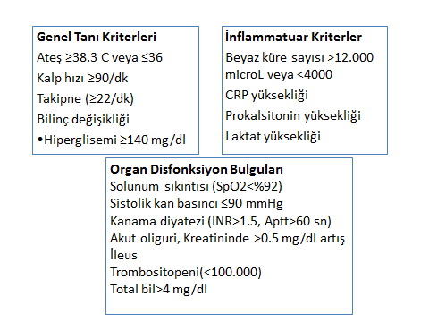 Olgu 33 y, 5G, 4P, 4Y, 24 hf gebe, 3 gündür ateş 38.4 C, TİT: 90 lökosit, 3-4 erit, Nitrit: (+), Hb:8.7, platelet 54.000, BK:8400, nötrofil %92.3, CRP:130.