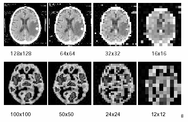 Çözünürlük Geometrik/Mekansal Bir görüntünün /geometrik/uzaysal/mekansal çözünürlüğü (spatial resolution), ilgili