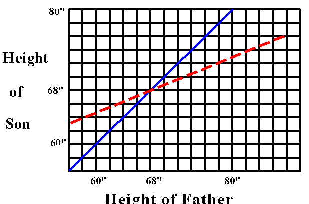 Eğer bir oğul boyunu sadece babadan alsaydı, korelasyon tabloda gösterilen mavi çizgi gibi olurdu. Kırmızı çizgi ile gösterilen ise gözlemlenendir.