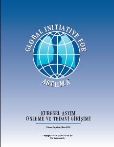 Rahatlatıcı ilaç gereksinimi Yok Haftada 2 kez ya da yok Varsa Haftada 2 kezden fazla özelliklerinden 3 yada daha fazlasının bulunması Solunum fonksiyonları (PEF ya da FEV1) Normal